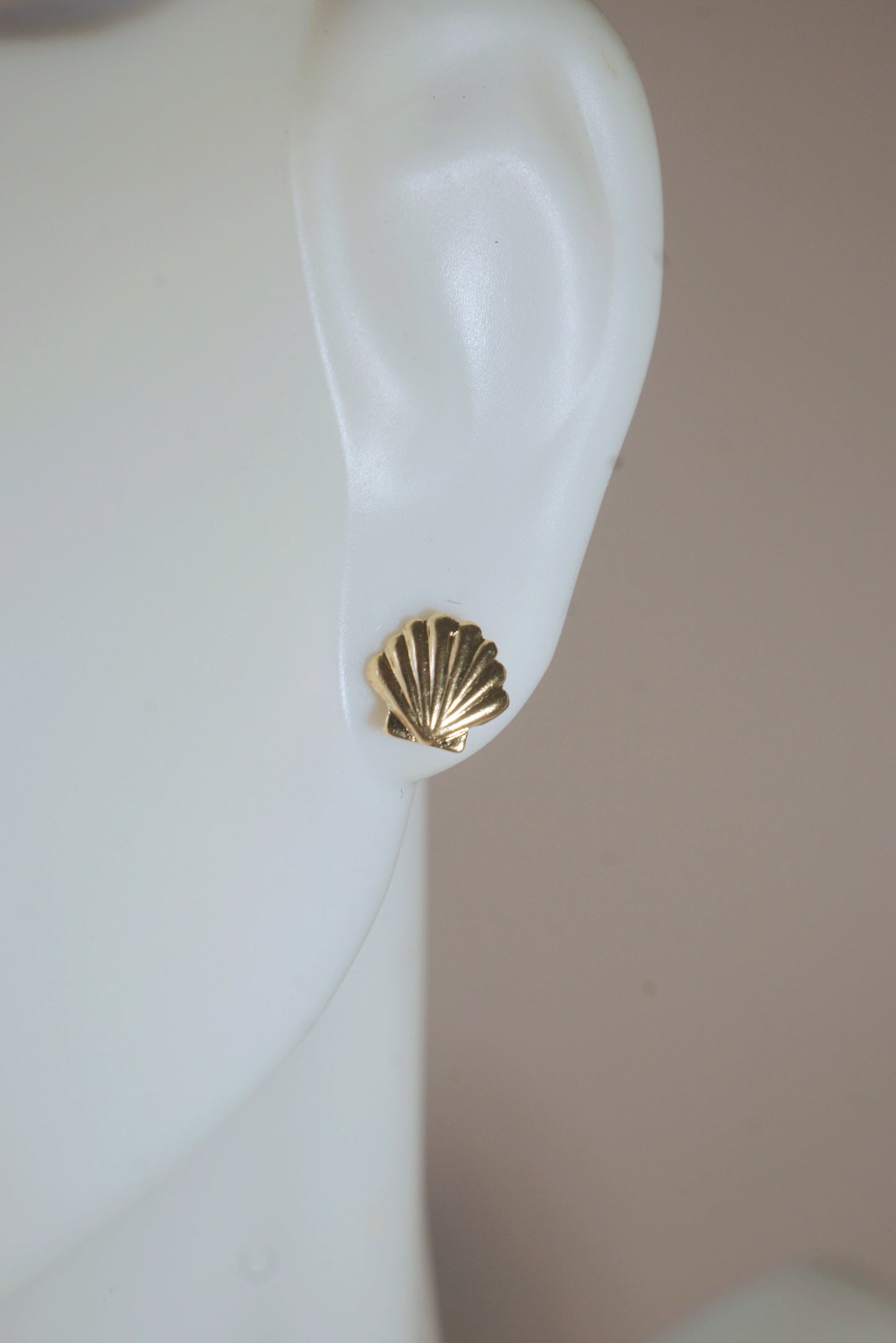 The Sea Shell Stud Earrings