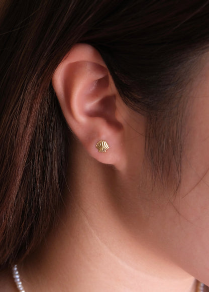 The Sea Shell Stud Earrings