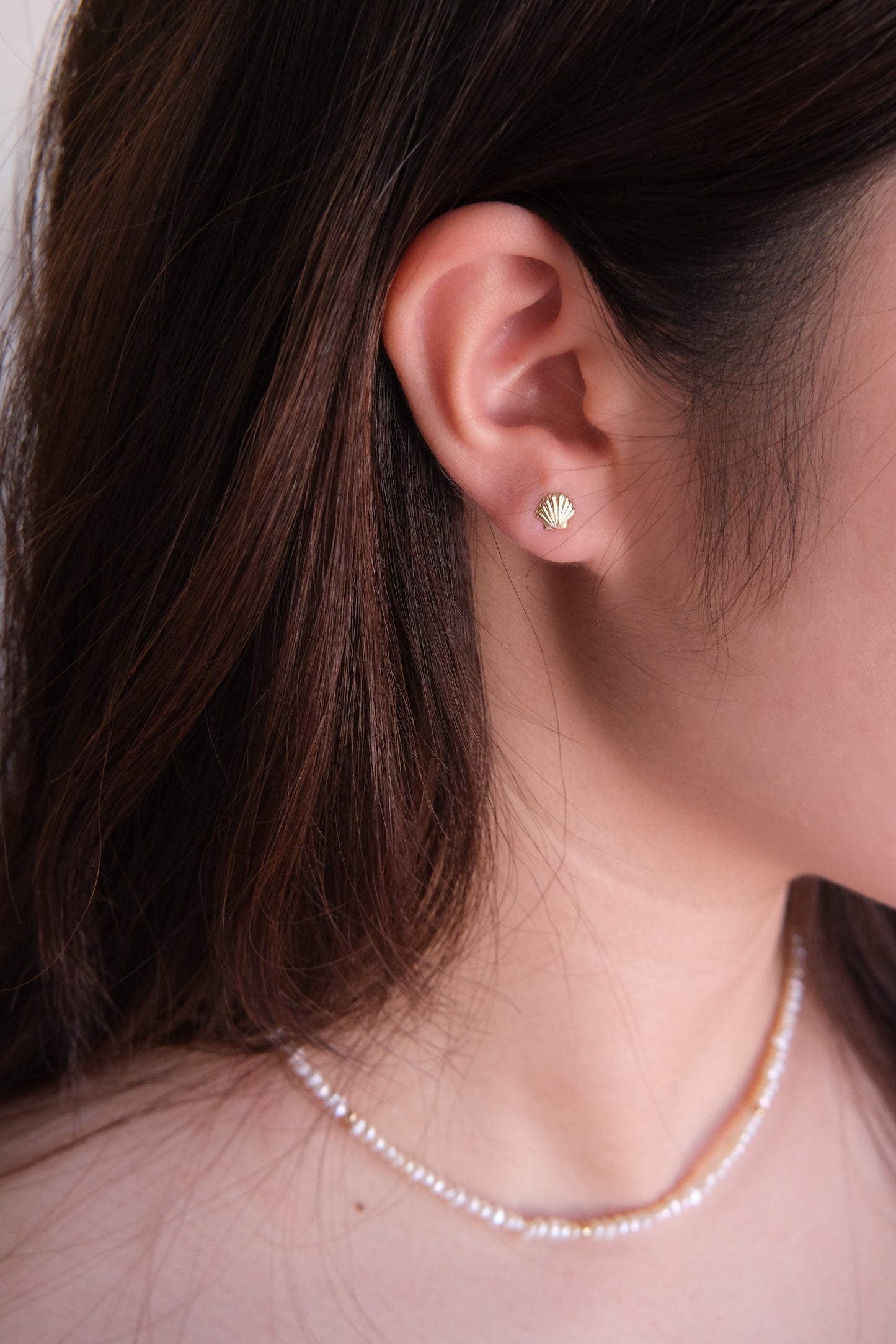 The Sea Shell Stud Earrings