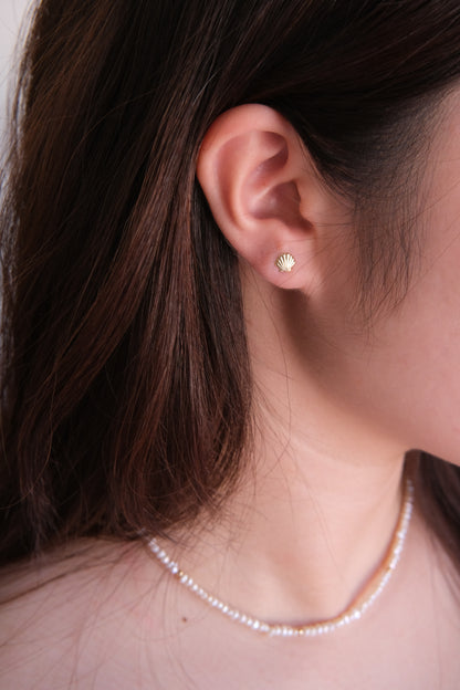 The Sea Shell Stud Earrings