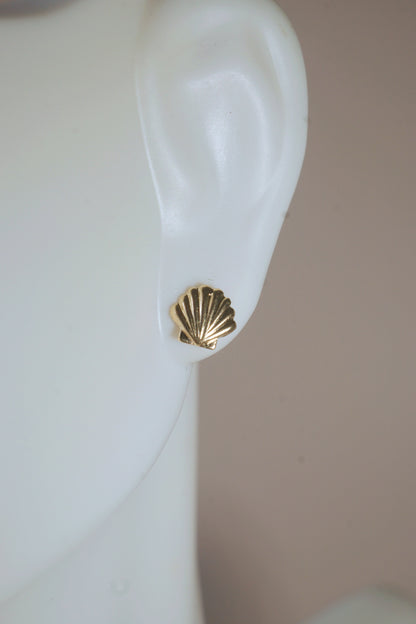 The Sea Shell Stud Earrings