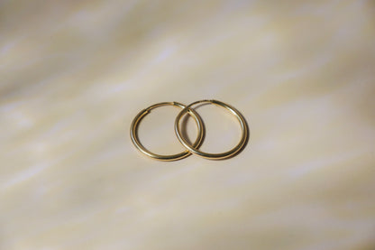 Endless Hoops Earrings