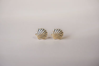 The Sea Shell Stud Earrings