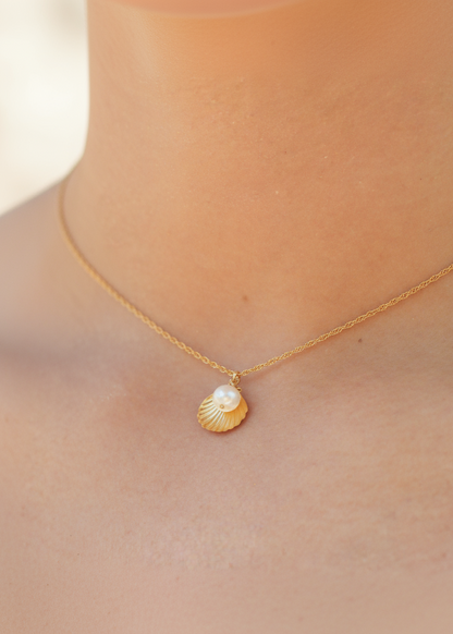 Calico Sea Shell Necklace
