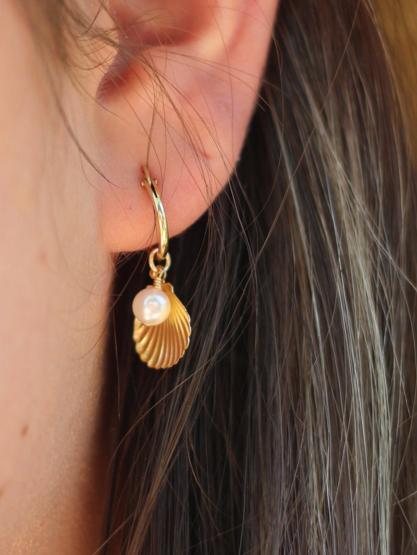 Calico Sea Shell Earrings