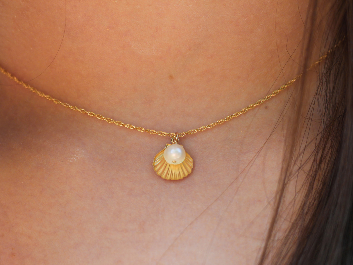 Calico Sea Shell Necklace