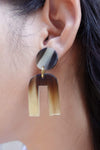 Horn Rainbow Earrings | Brown
